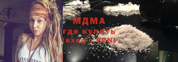 индика Елизово