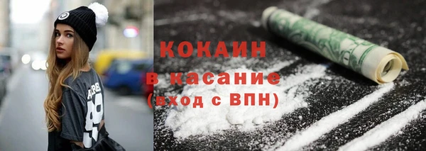индика Елизово