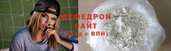 индика Елизово