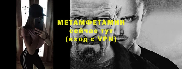 индика Елизово