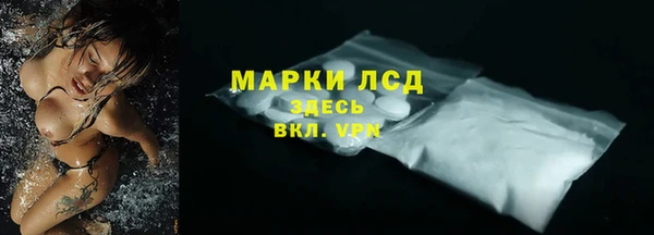 индика Елизово