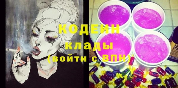индика Елизово