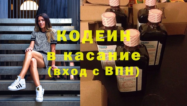 индика Елизово