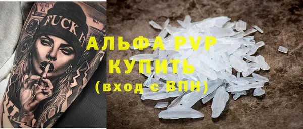 индика Елизово