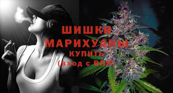индика Елизово