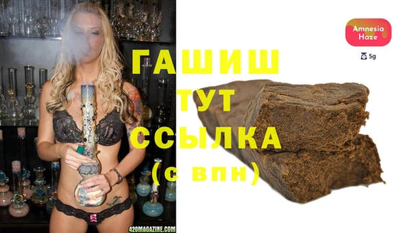 индика Елизово
