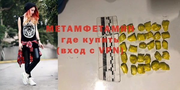 индика Елизово