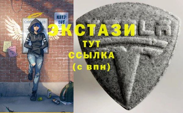 индика Елизово