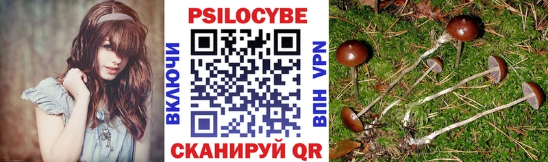 Псилоцибиновые грибы Magic Shrooms  Купить закладки  Заполярный 