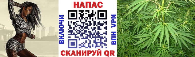 Бошки марихуана THC 21%  Купить закладки  Заполярный 
